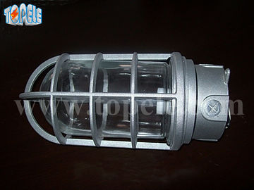 100W 220V ব্রোঞ্জেন গ্রে আইপি 65 বাষ্প প্রতিরোধী লাইট ডাই - কাস্ট অ্যালুমিনিয়াম