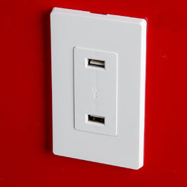 LD-U001 4.2A স্মার্ট হাই স্পিড ইউএসবি চার্জার আউটলেট, 2 টি ওয়াল প্লেট সহ 2 টি ইউএসবি পোর্ট